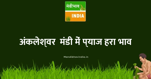 Onion Green भाव